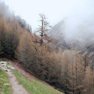 Album cover for Vou continuar by Bispo, Gama WNTD