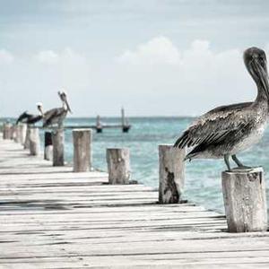 Album cover for NÃO ERA LOVE by Luan Pereira, MC Tuto, Grelo