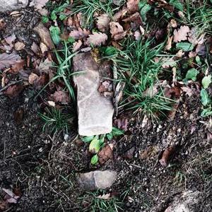 Album cover for OUTRA by tarisiix