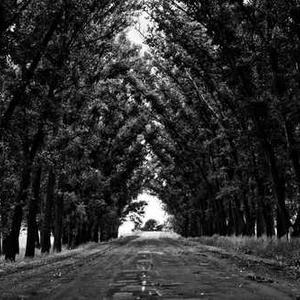 Album cover for VIDIGAL by WIU